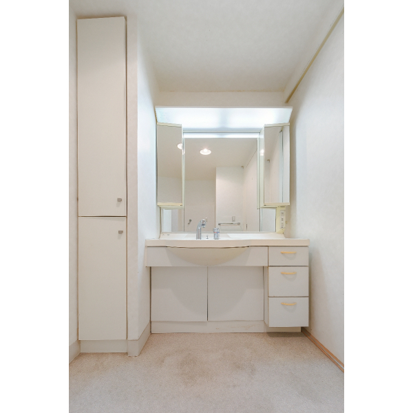 シティコーポ自由ケ丘２番館 洗面室