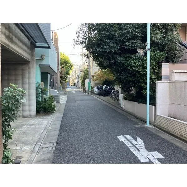 ジョイフル池袋 前面道路