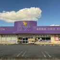 川越市大字山田 ウェルパーク 川越山田店（ドラッグストア）まで約1120m（徒歩14分）