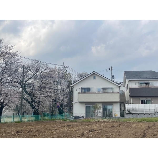 さいたま市中央区円阿弥４丁目 その他画像