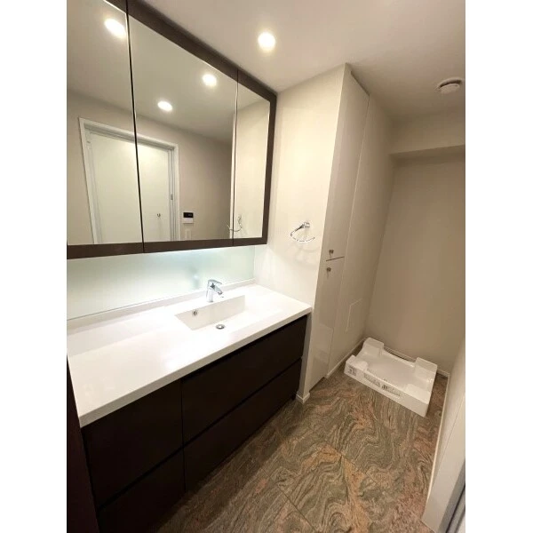 ザ・パークハウス愛宕虎ノ門 洗面室