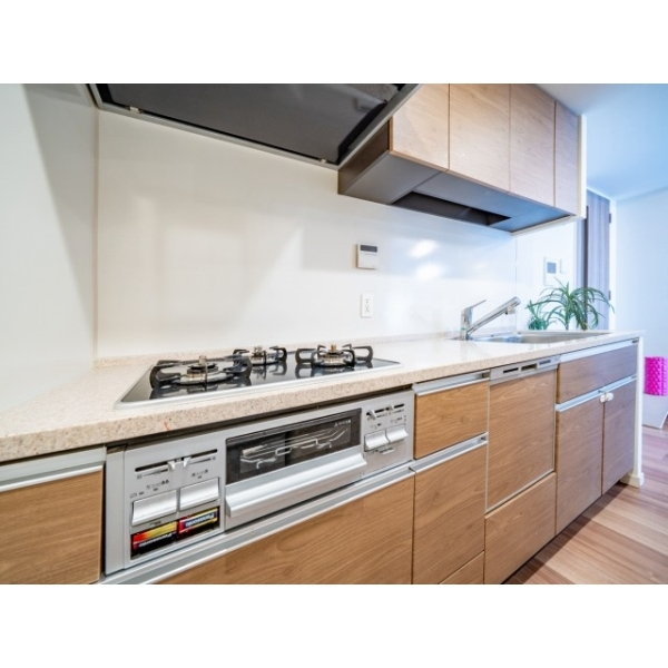 プレミアムレジデンス千葉県立美術館前 その他画像