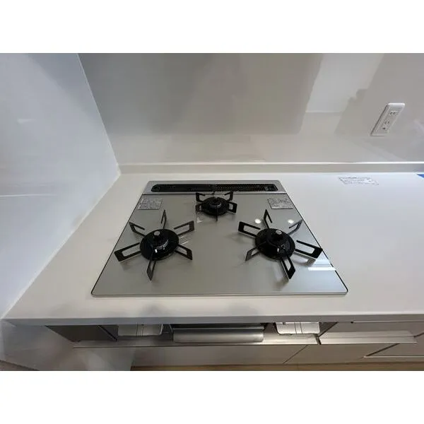 レクセルマンション竹ノ塚第三 その他画像