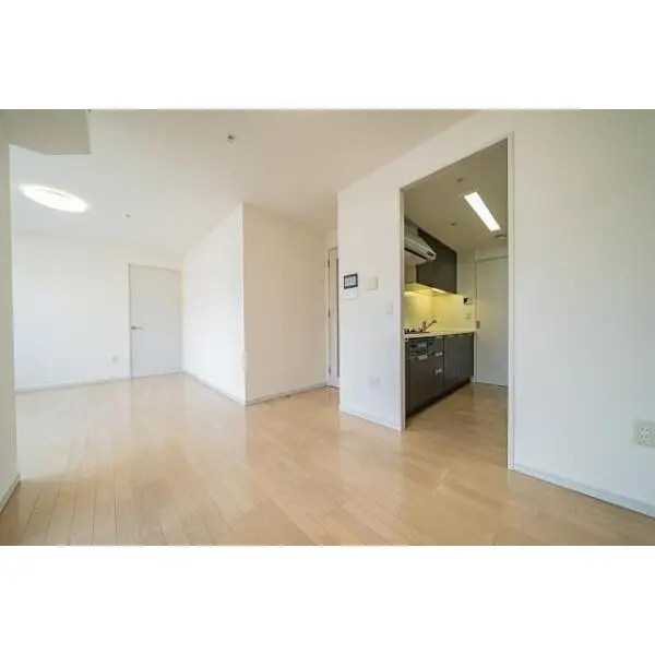 ディーグラフォート大阪Ｎ．Ｙ．タワーＨＩＧＯＢＡＳＨＩ その他画像