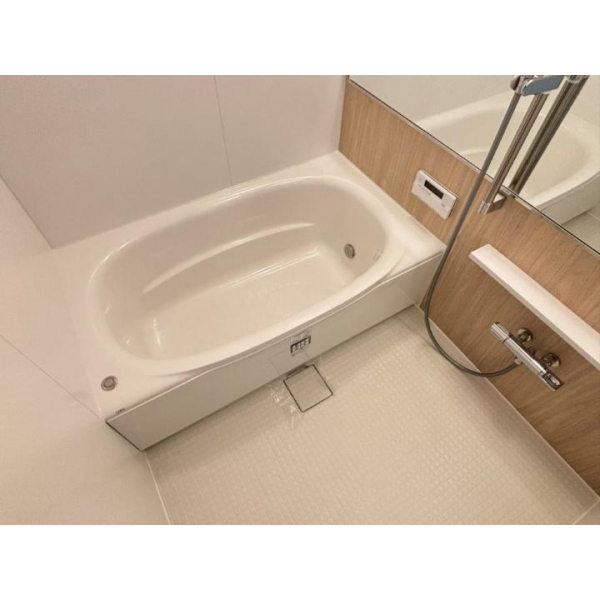 ザ・シーン城北アストロタワー その他画像
