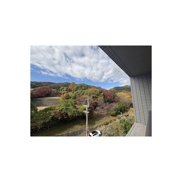 シャリエ大津皇子が丘 その他画像