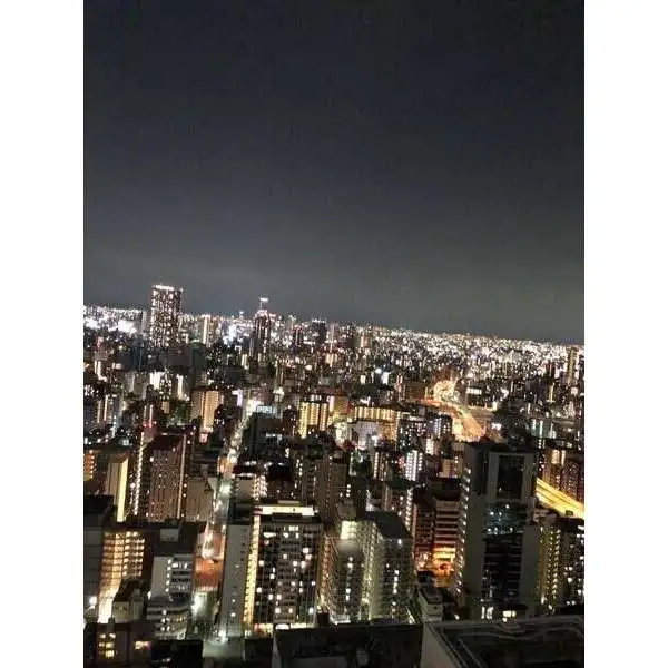 ザ・パークハウス中之島タワー その他画像