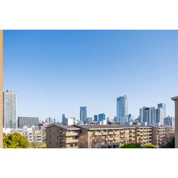 広尾ガーデンフォレスト椿レジデンスG棟 その他画像