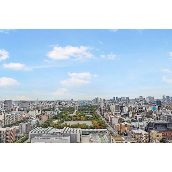 イーストコモンズ清澄白河セントラルタワー 南側バルコニーからの眺望