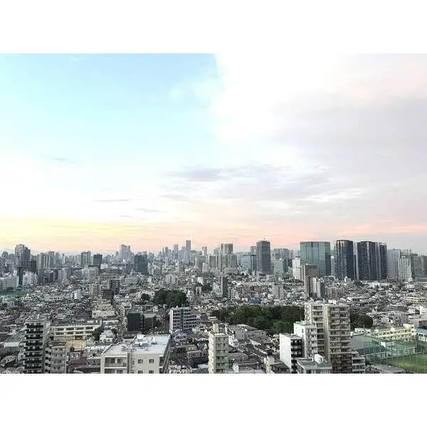 ザ・パークハウス戸越公園タワー その他画像