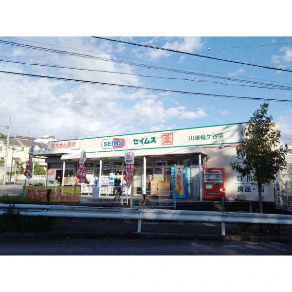 川崎市高津区梶ケ谷３丁目 ドラッグセイムス川崎梶ヶ谷店（ドラッグストア）まで約390m（徒歩5分）