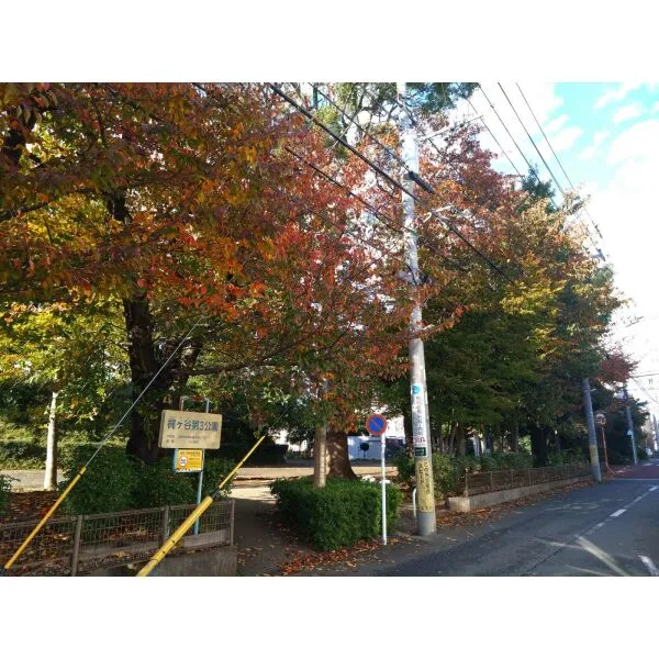 川崎市高津区梶ケ谷３丁目 梶ヶ谷第3公園（公園）まで約230m（徒歩3分）