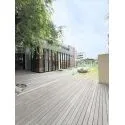 桜堤庭園フェイシア 中庭（２０２６年６月撮影）