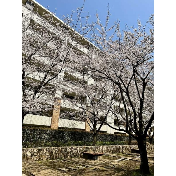 BELISTA溝の口 外観