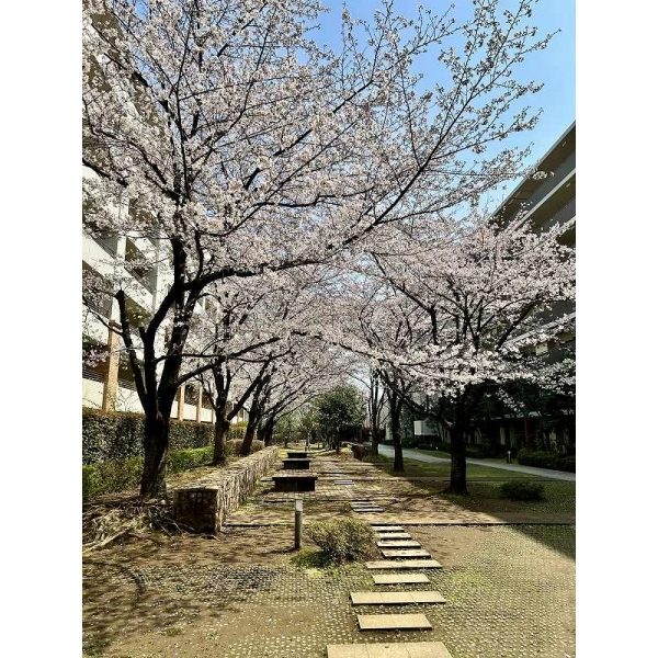 BELISTA溝の口 その他画像