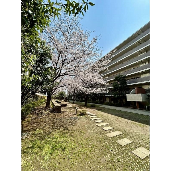 BELISTA溝の口 その他画像