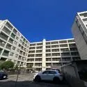 妙蓮寺コーポラス その他画像