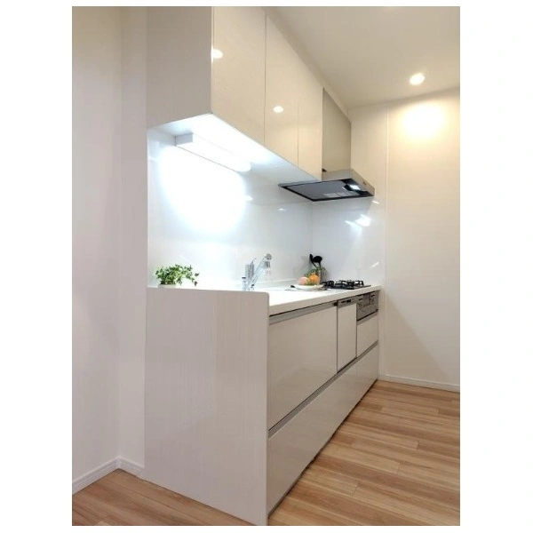 高田馬場住宅 キッチン