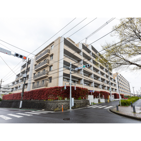 ダイアパレス常盤平ヒルズ 外観