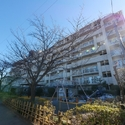 ライオンズマンション津田沼 その他画像
