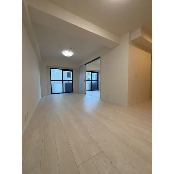 セザール錦糸町 LDK