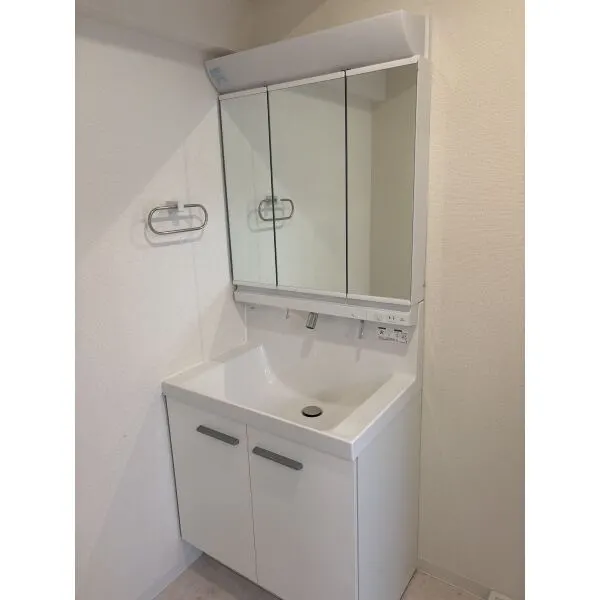 セザール錦糸町 洗面室