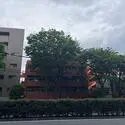 フジタ野沢マンション その他画像