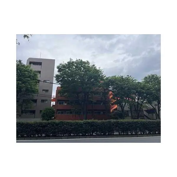 フジタ野沢マンション その他画像