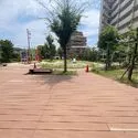 キャパシティ 敷地内の公園