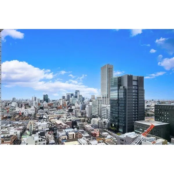 青山ザ・タワー バルコニーからの眺望