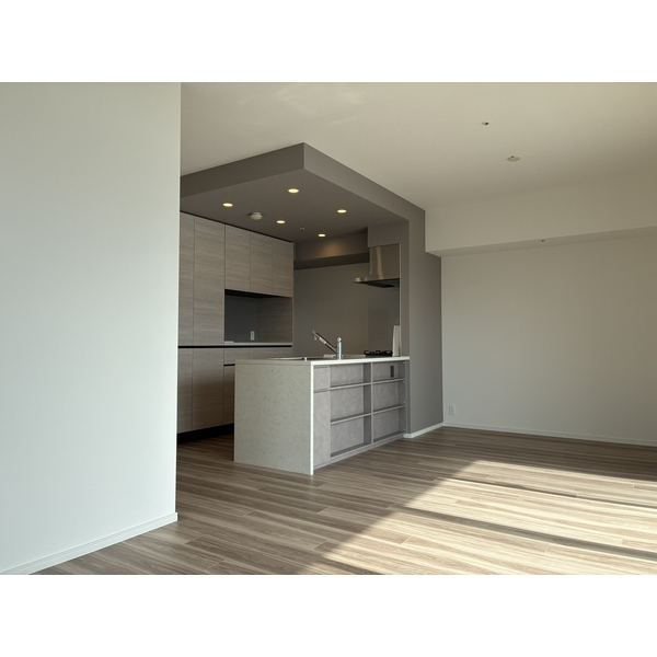 ＨＡＲＵＭＩ　ＦＬＡＧ　ＳＵＮ　ＶＩＬＬＥＧＥ　Ｆ棟 その他画像