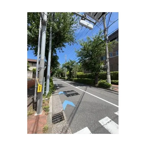世田谷区玉川台２丁目 その他画像