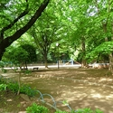 練馬区桜台３丁目 高稲荷公園（公園）まで約510m（徒歩7分）