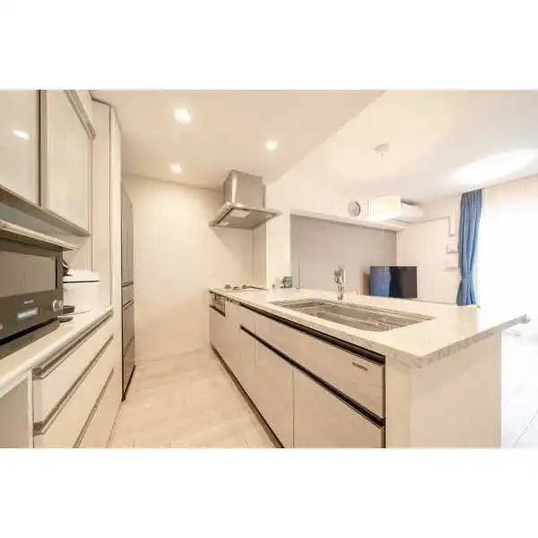 プレミスト志村三丁目 その他画像