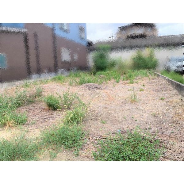名古屋市天白区池場３丁目 その他画像