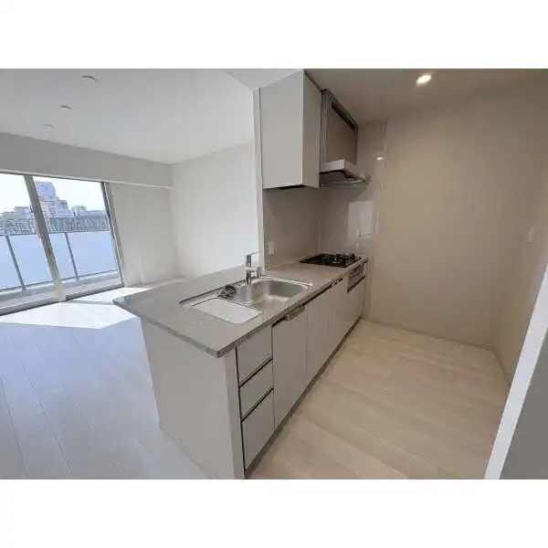 ザ・パークハウス大阪梅田タワー その他画像