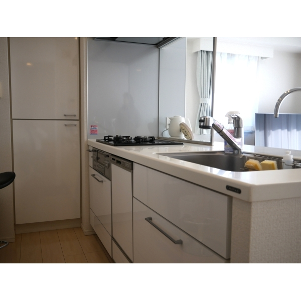 グランスイート世田谷桜丘 その他画像