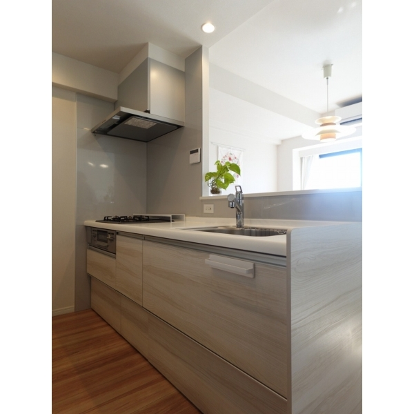 ライオンズヒルズ富士森公園 その他画像