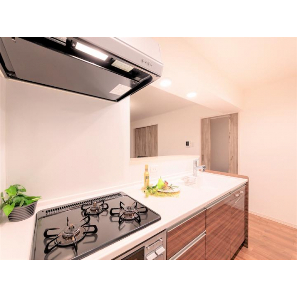 ユーロハイツ文の里 その他画像