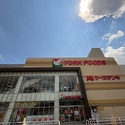 ネオスアクシア本厚木コアフィール ヨークフーズ厚木店（スーパー）まで約470m（徒歩6分）