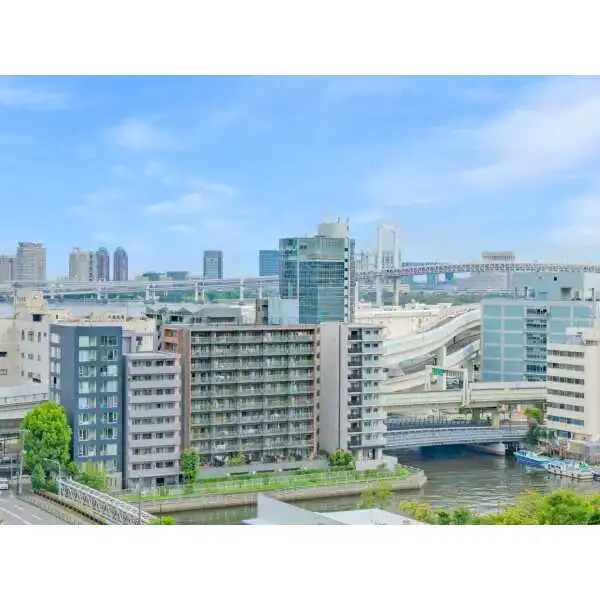 ザ・タワー芝浦 その他画像