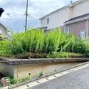 海老名市国分南４丁目 北西側現地