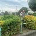 名古屋市天白区福池１丁目 福池公園（公園）まで約1150m（徒歩15分）