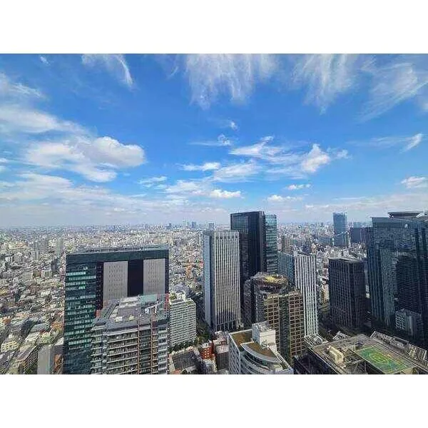 ザ・パークハウス西新宿タワー60 池袋と西新宿のビル群を望む開放的な眺望