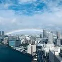 シティタワー有明 北東側31階部分の眺望　都心を望み眺望良好