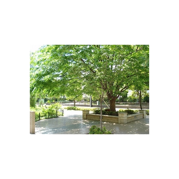 ビー・シティキャナルウィング その他画像