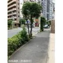 新宿区北山伏町 前面道路含む外観