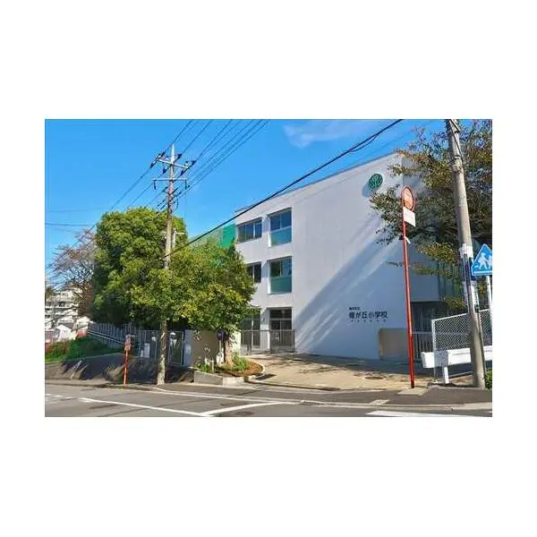 横浜市青葉区榎が丘 その他画像