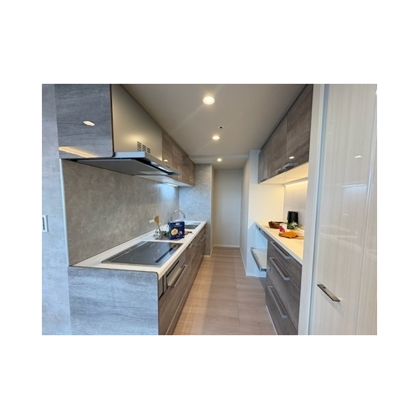 パークタワー滝野川 その他画像