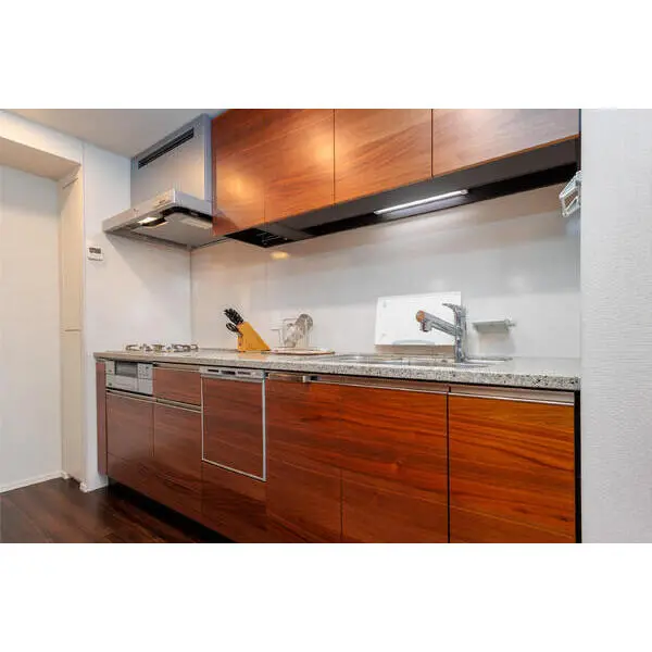 ザ・パークハウス中之島タワー その他画像